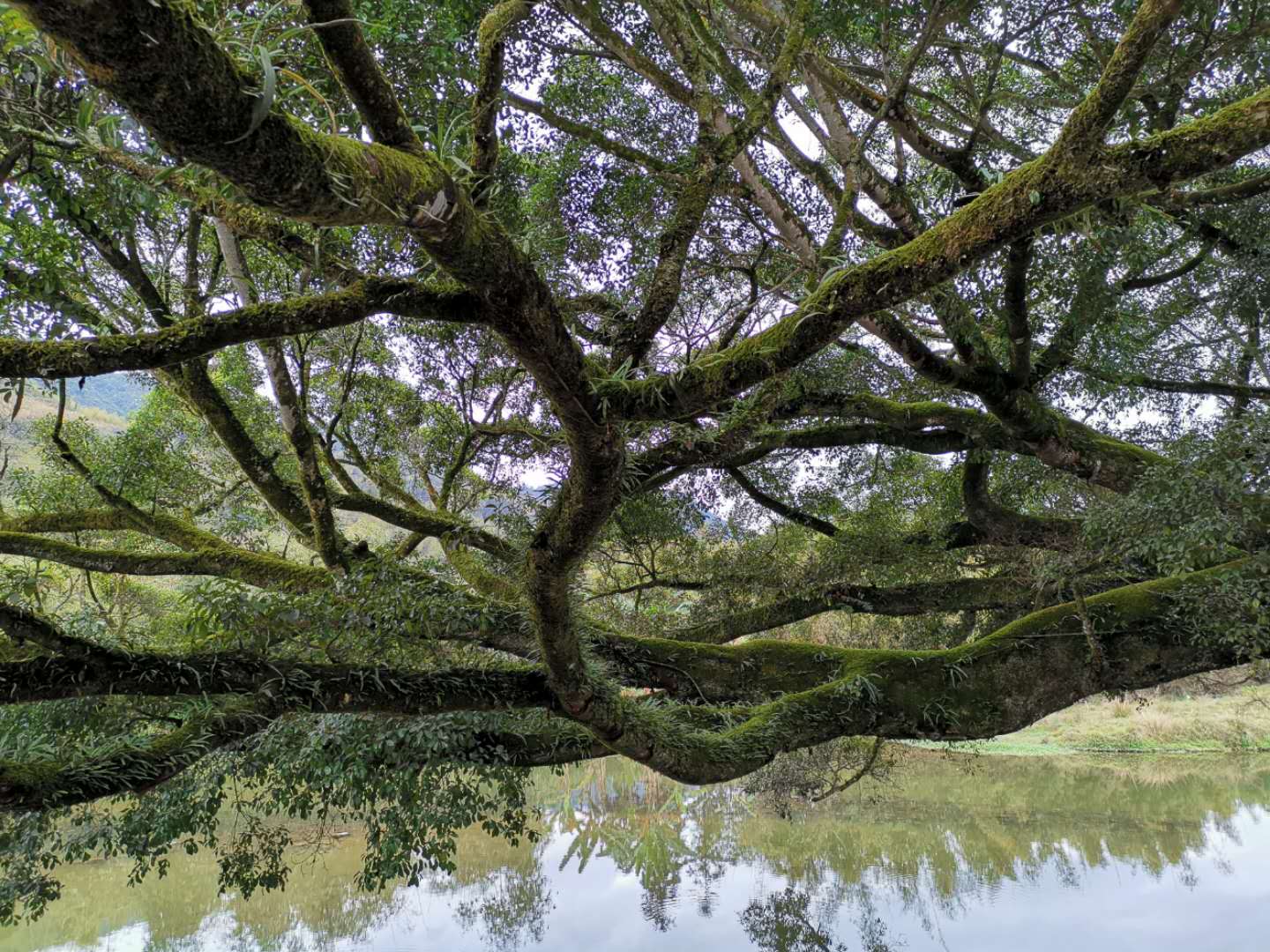 1551757361512837.jpg 1551757361512837.jpg